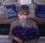 Boy selling violets